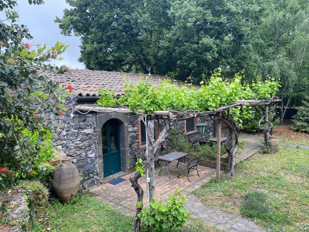Bed And Breakfast Il Glicine Piedimonte Etneo Exterior photo